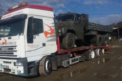 autotransportgreleroyalcat